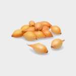 CORRADO F1 ΥΒΡΙΔΙΟ (ΜΑΚΡΥ)