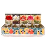 ΔΙΑΦΟΡΟΙ ΒΟΛΒΟΙ (ΚΑΣΕΤΙΝΑ)