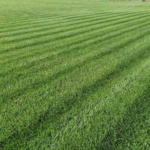 ΜΕΙΓΜΑ SUPERGREEN