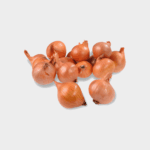 YELLOW MOON SHALLOT (ΣΤΡΟΓΓΥΛΟ)