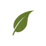 Δείκτης τοποθέτησης