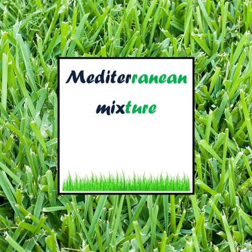 mediterranean mix