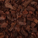 ΦΛΟΙΟΣ  ΠΕΥΚΟΥ