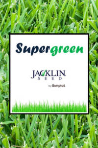 supergreen