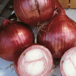 Tropeana rossa Tonda