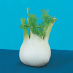 Romanesco sel. Vesuvio