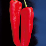 Corno di Torro Rosso