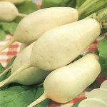 Delle Virtu o a Martello