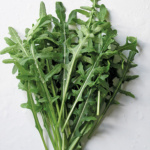 Selvatica sel.Frastagliata