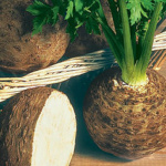 Root Gigante di Praga