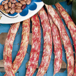 Borlotto lingua di fuoco 2